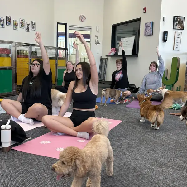 Puppy yoga fun at K9 Rox Club Las Vegas